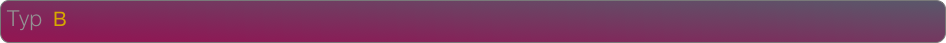 Typ  B                                                     