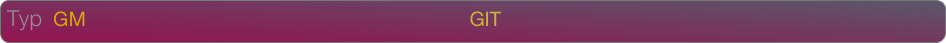 Typ  GM                                                                     GIT